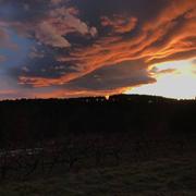 Rosières 13/01/2021