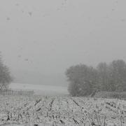 Vrigne-aux-Bois 14/01/2021