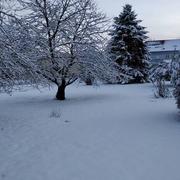 Saint-Avold 15/01/2021