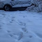 Sanry-lès-Vigy 15/01/2021