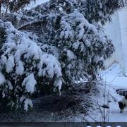 Sanry-lès-Vigy 15/01/2021