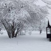 Retzwiller 15/01/2021