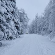 Baracuchet 15/01/2021