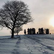 Oberrœdern 15/01/2021