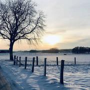 Oberrœdern 15/01/2021