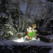 Saint-Pierre-Bois 15/01/2021