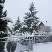 Saint-Pierre-Bois 15/01/2021