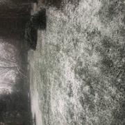 Garancières 16/01/2021