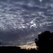 Souvignargues 16/01/2021