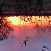 Tour-en-Sologne 16/01/2021