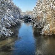 Dettwiller 17/01/2021