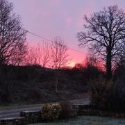 La Pommeraie-sur-Sèvre 17/01/2021