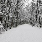 Herserange 17/01/2021