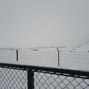 Boulay-Moselle 17/01/2021