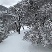 La Toussuire 18/01/2021