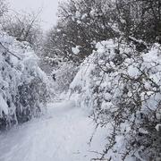 Montauville 18/01/2021