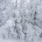 Montauville 18/01/2021