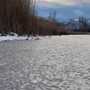 Laragne-Montéglin 19/01/2021