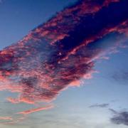 Ambarès-et-Lagrave 20/01/2021