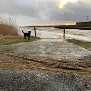 Les Monards 23/01/2021