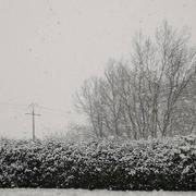 Montagny-en-Vexin 24/01/2021