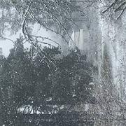 Le Pâtis de Vernou 24/01/2021