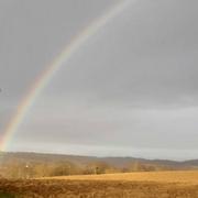 Peyrouzet 24/01/2021