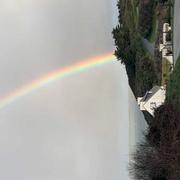 Île-de-Bréhat 24/01/2021