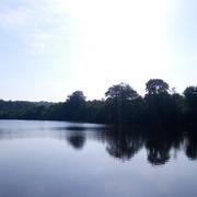 Les Epesses 25/01/2021