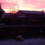 Beaurepaire 26/01/2021