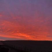 Chaudefonds-sur-Layon 26/01/2021