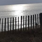 La Trinité-sur-Mer 26/01/2021