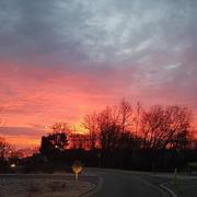 Pont-Péan 26/01/2021