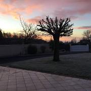 Foussignac 28/01/2021