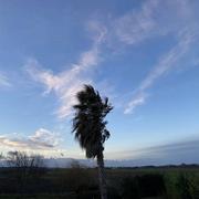 Nissan-lez-Enserune 01/02/2021