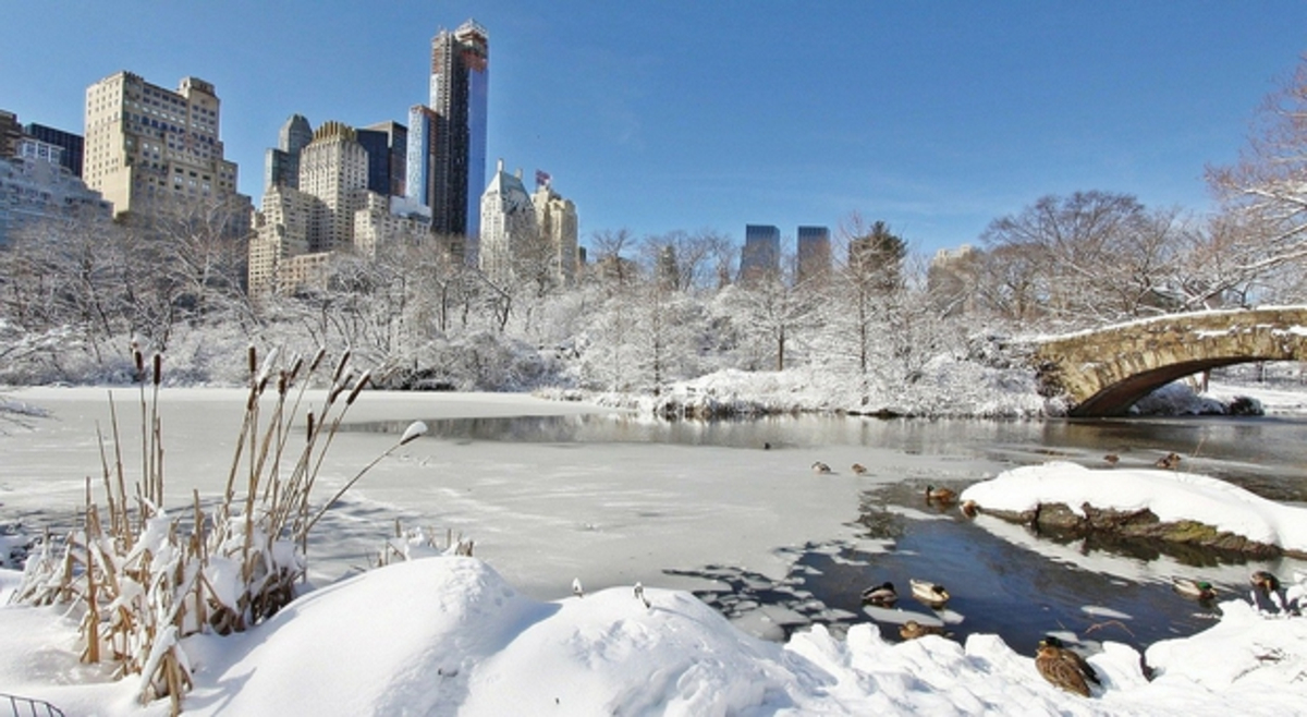 Cold wave in the United States: down to -20 ° C in New York, -30 ° C in Chicago