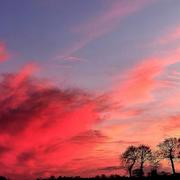 Plumaudan 06/02/2021