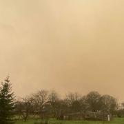 Montigny-lès-Cherlieu 06/02/2021