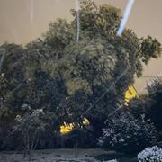 Minihy-Tréguier 09/02/2021