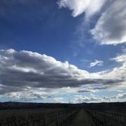 Berrias-et-Casteljau 11/02/2021