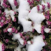 Sainville 12/02/2021