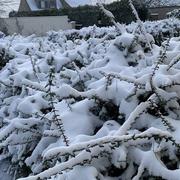 Sainville 12/02/2021