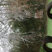 Parthenay 12/02/2021