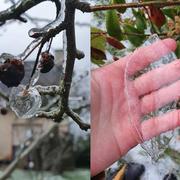 Cléden-Poher 12/02/2021