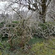 Mignaloux-Beauvoir 12/02/2021