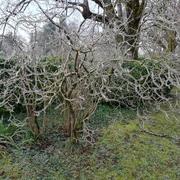 Mignaloux-Beauvoir 12/02/2021