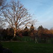 Saint-Laurent-sur-Gorre 13/02/2021