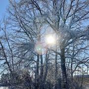 La Wantzenau 14/02/2021