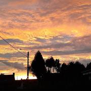 Fontaine-Notre-Dame 14/02/2021