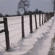 Congé-sur-Orne 14/02/2021